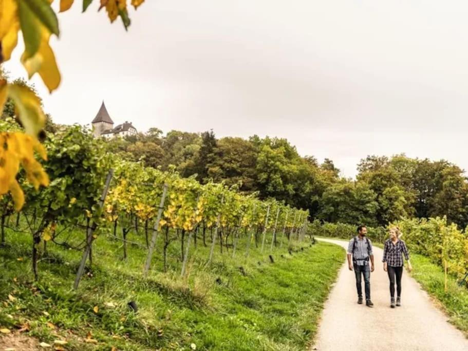 Charmante Und Zentrale Wohnung Am Weiherpark Arbon Esterno foto