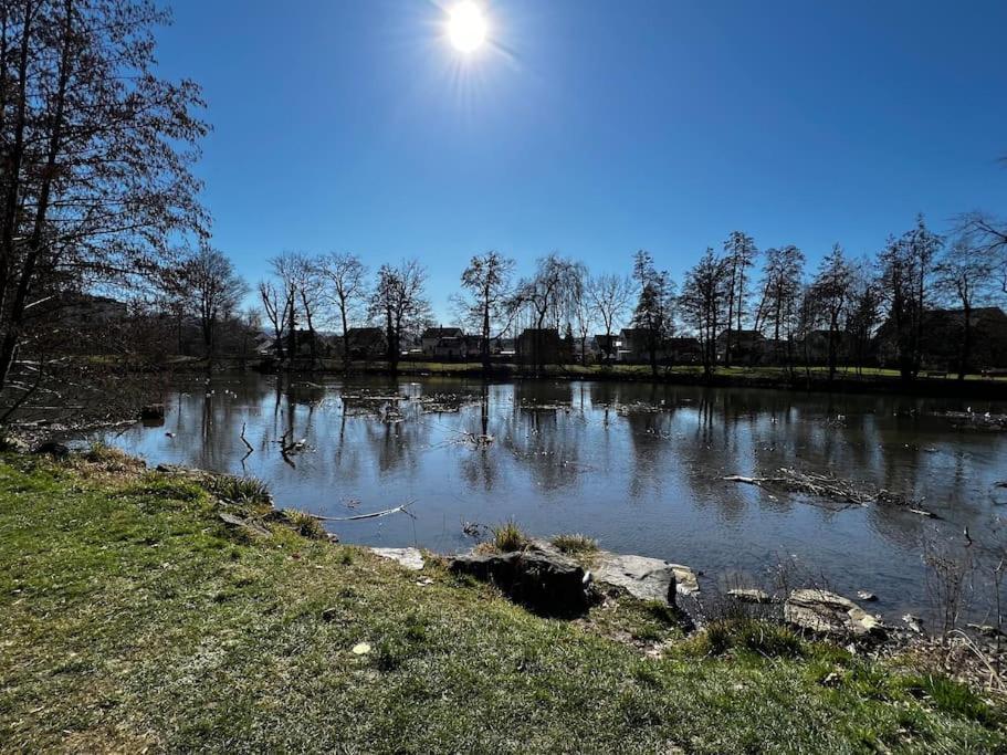 Charmante Und Zentrale Wohnung Am Weiherpark Arbon Esterno foto